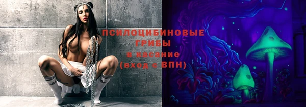 дмт Алзамай