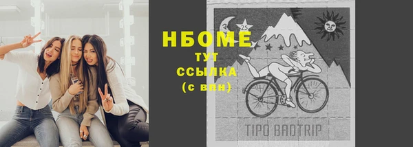дмт Алзамай
