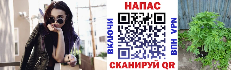 Шишки марихуана VHQ Салехард